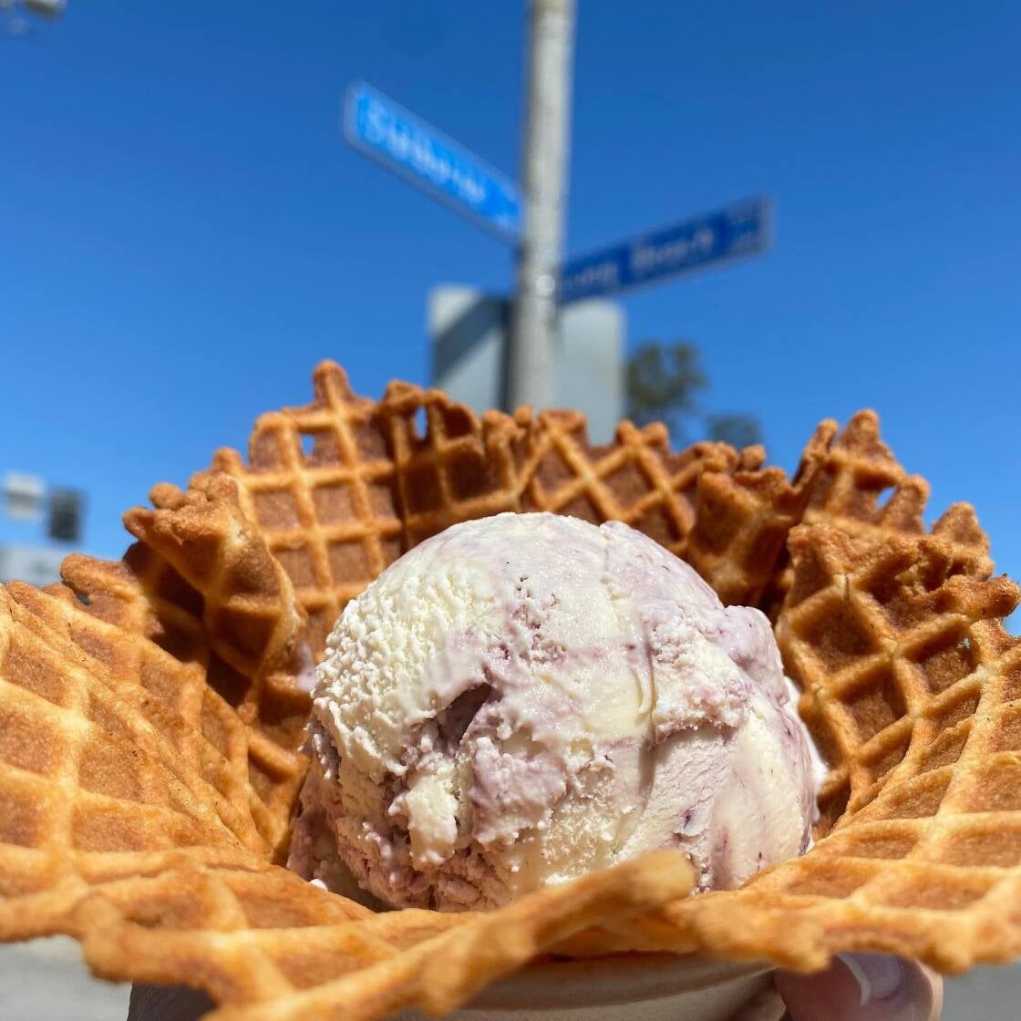 Long Beach Creamery organic ice cream Long Beach Creamery